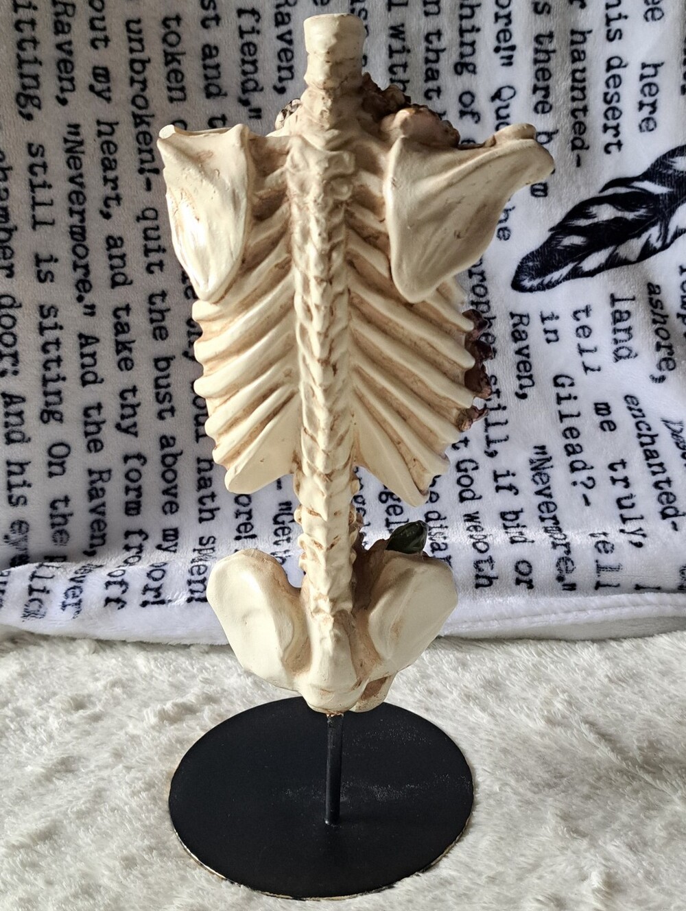 Ashland Floral Ribcage Skeleton Halloween - Picture 2 of 6